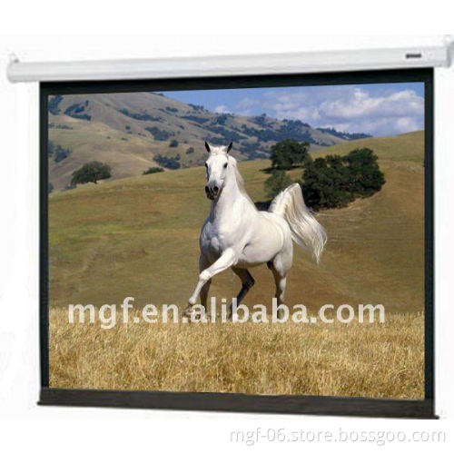 Glass beaded Manual Projection screen